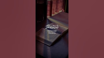 و ما تدري نفس ماذا تكسب غدا #القرآن_الكريم #quran #راحة_نفسية #إسلام_صبحي #تلاوات #آيات #تجويد