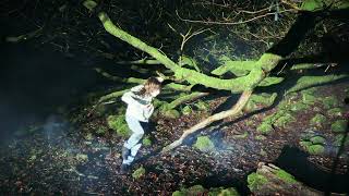 Dorian Electra - Scarborough Fair Official Music Video