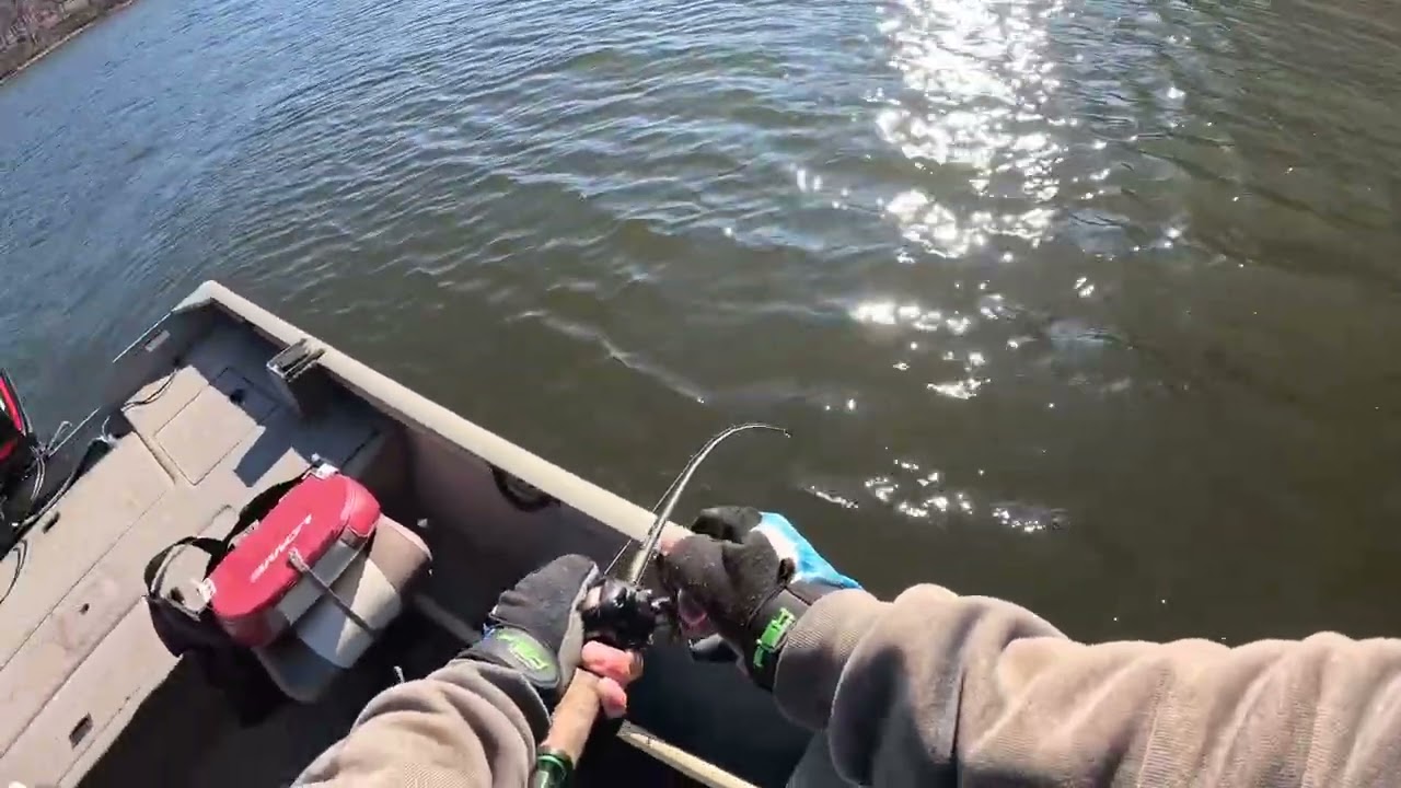 Picasso swim jig,zoom speed craw