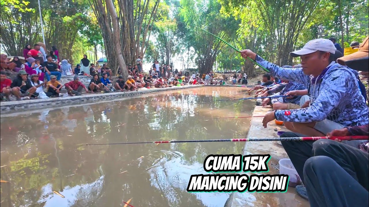 Ikut Lomba Mancing Ikan Lele 17 Agustusan 2025