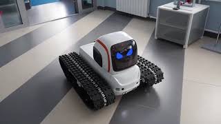 «Avrora Robotics»