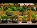 Bonsai Garden in Showa Kinen Park (国営昭和記念公園 盆栽苑)