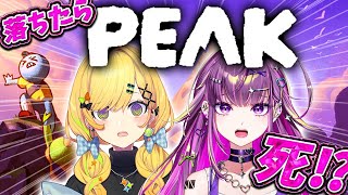 羽流鷲りりり / Ririri Channel【ななしいんく】の配信のサムネイル画像