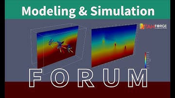 Modeling and Simulation Forum #13