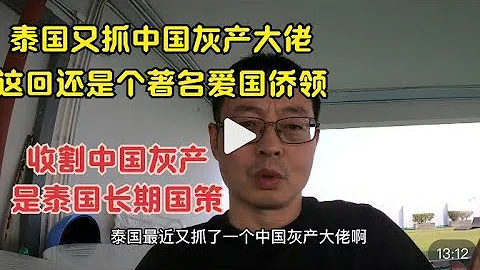 泰國又抓中國灰產大佬 這回還是個著名愛國僑領|收割中國灰產 是泰國長期國策 - 天天要聞