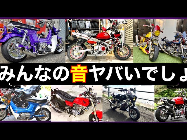みんなの4miniマフラー音がヤバ過ぎた【モンキー・シャリー・エイプ
