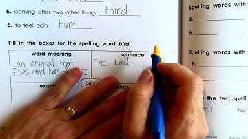 Benchmark Unit 3, Week 3, Spelling