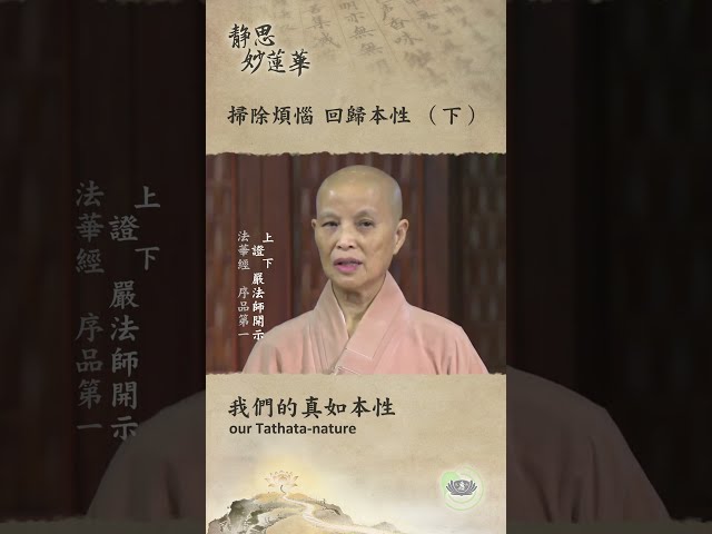 🏯【靜思妙蓮華｜第114集：掃除煩惱 回歸本性（下）】