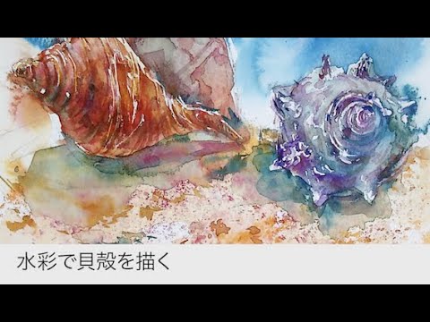 水彩画 壺と貝殻の作品 水彩画 壺と貝殻の作品 Amazon.co.jp: 貝殻