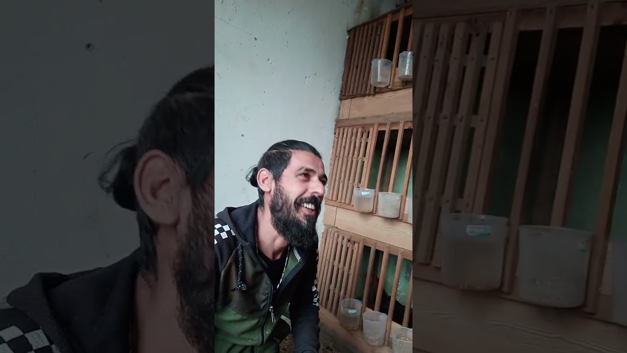 Gölcüklü Ferit arkadaşımın misafiri. olduk