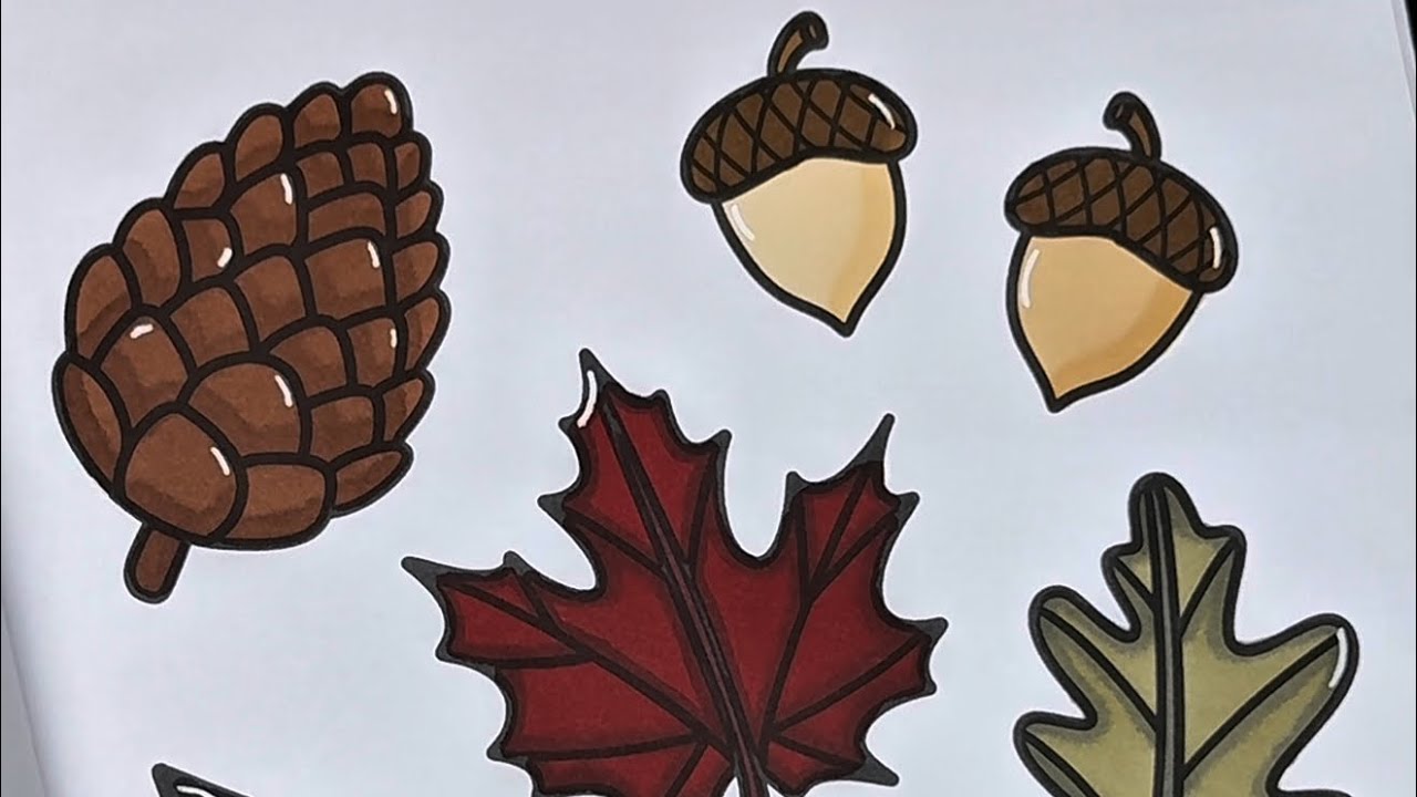 Satisfying Coloring ASMR | Real-Time 🍁✨