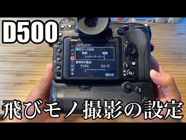 Backdating Chat] Resetting the settings on the legendary D500 to