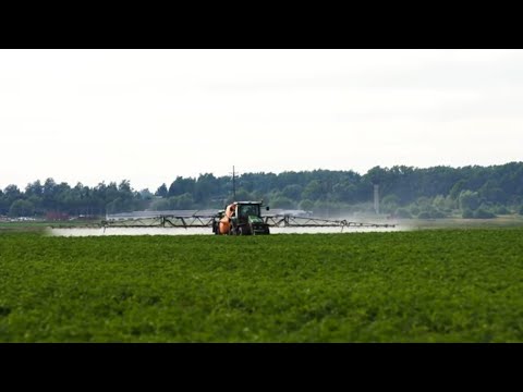 Top Agriculture Expert Reveals Best Drone Spraying Techniques