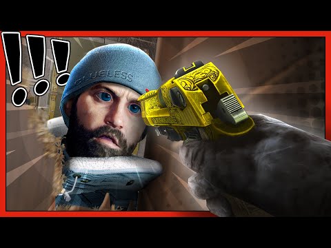 SIEGE MAKES ME HAPPY