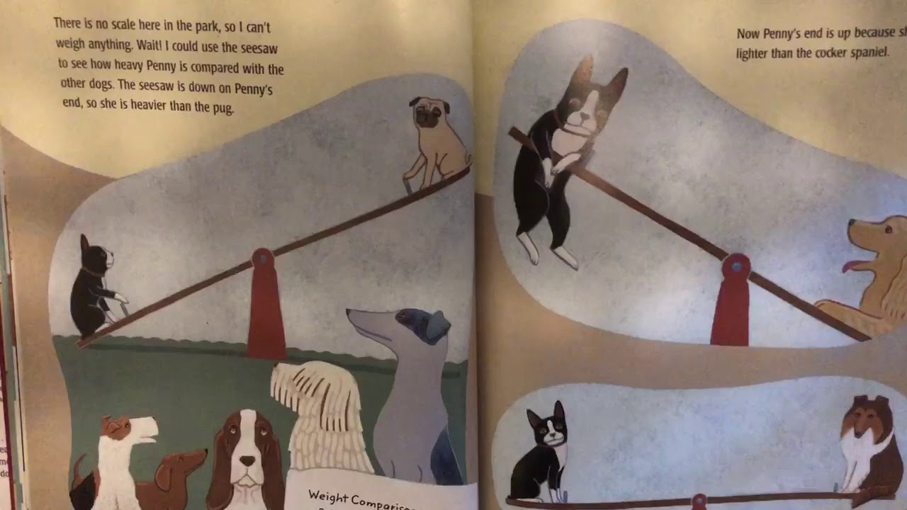 Measuring Penny read aloud by Loreen Leedy YouTube