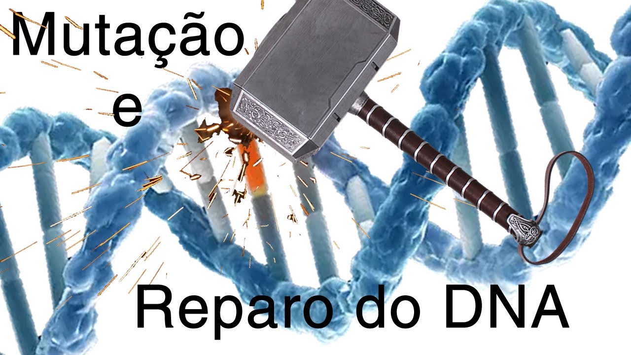 Mutação e Reparo do DNA