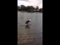 Shane barrie leads out of the water at challenge gold coast 2014