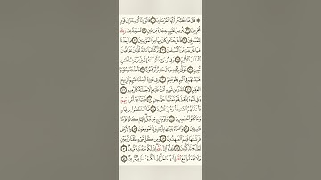 سورة الذاريات بصوت الشيخ محمد ايوب الركباوي