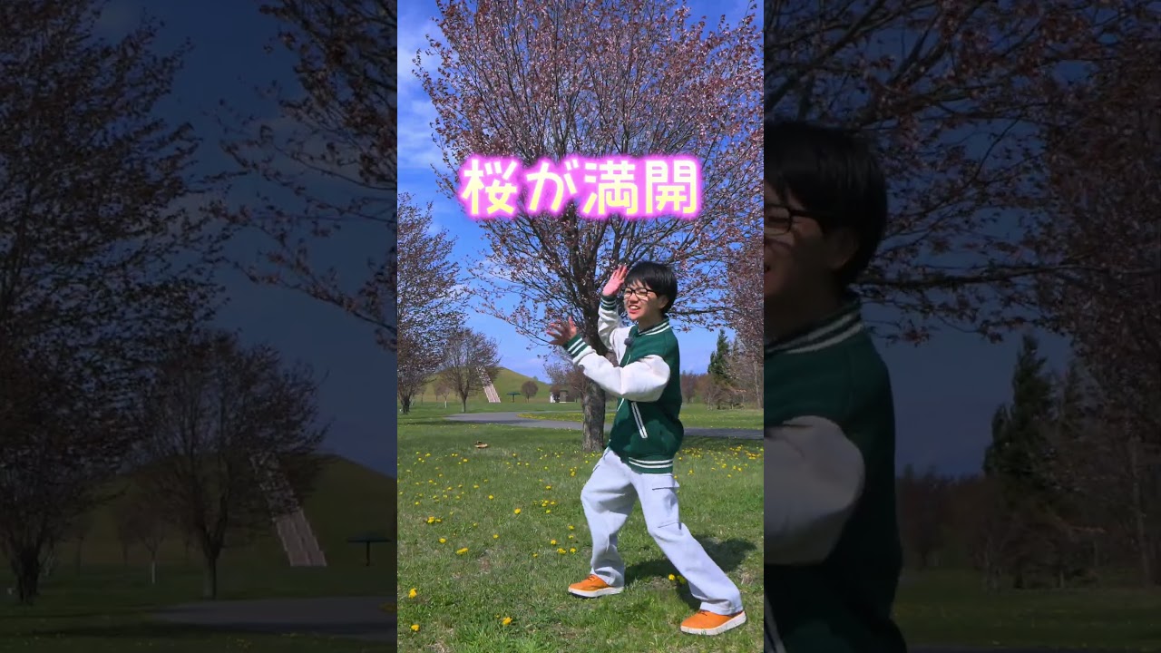 【悲報】帯広の桜、強風すぎて消滅