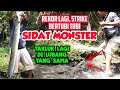 MANCING SIDAT BESAR | SIDAT MONSTER TAKLUK LAGI DI LUBANG YANG SAMA | EEL FISHING | BIG EEL|dek doer