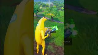 Fortnite Freund #fortnite #viral #funny #shorts