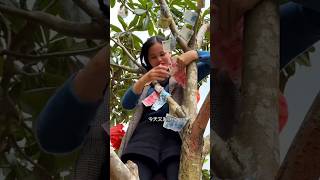 पस वल पड Mini Wood Toy Wood Working Art Skills Mini Craft