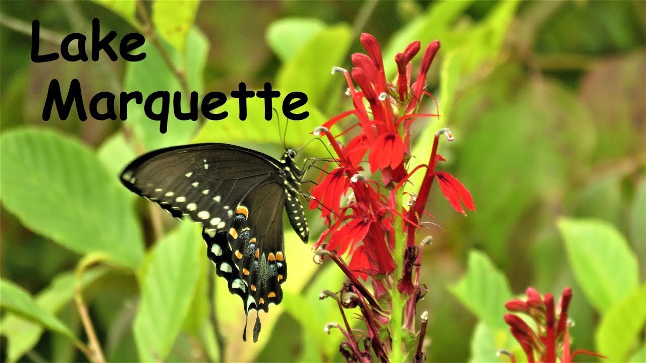 Exploring Lake Marquette YouTube