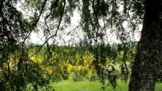Video thumbnail of "Mendelssohn - Canção sem palavras Nº 7"