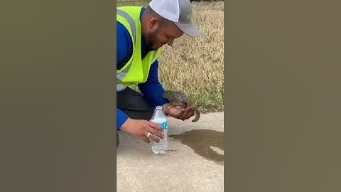 Kindness is the language which the deaf can hear and the blind can see.” – Mark Twain