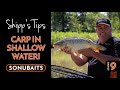 SHIPP'S TIPS - Episode 9 - Carp In Shallow Water!