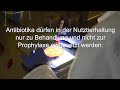 BUKO: Antibiotika in der Massentierhaltung, Deutschland