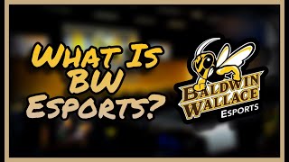 What IS BWU Esports Really?