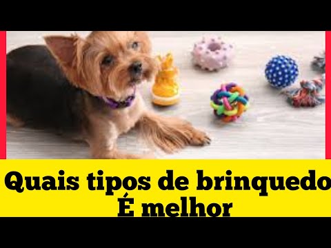 Vídeo: Quando os gatinhos abrem os olhos?