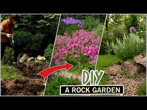 ვიდეო: Rockery ნიადაგის ნარევები - რჩევები ნიადაგის მომზადების შესახებ კლდოვანი ბაღის საწოლის შესახებ