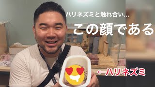 この機会逃してたら多分一生なかったと思う。。。