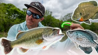 BASS & CRAPPIE MAGNET! This Technique Catches Everything!