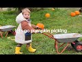 pumpkin picking & a huge declutter and organise!