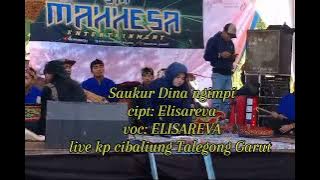 Saukur Dina ngimpi --cipt-Elisareva --cipt-Elisareva --voc- Elisareva