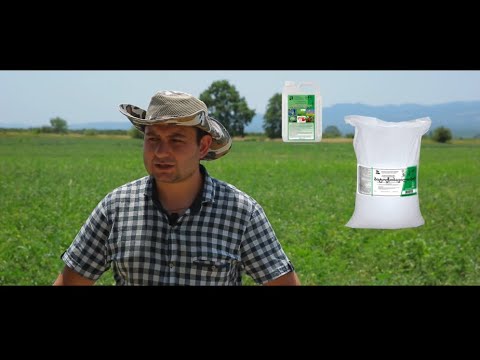 გრემის სადემონსტრაციო ნაკვეთი. ეკო პომიდვრის მოყვანა. 08.07.2020