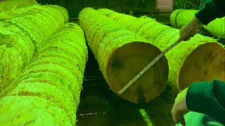 Comparing the Doyle log scale to how much we actually get in board feet!