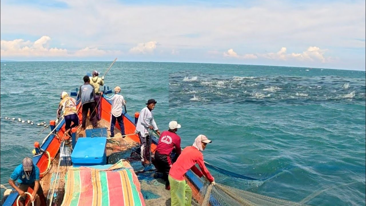 Pukat cincin, Nelayan Indonesia Dapat Banyak Ikan, luar biasa hasil tangkapan nelayan Indonesia