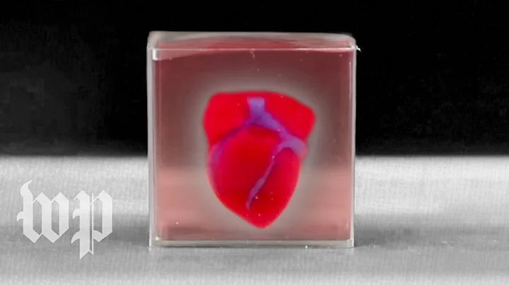 Researchers create 3-D printed heart using patient's cells - DayDayNews