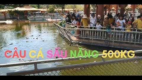 Câu Cá Sấu Nặng 500 kg ở Vương Quốc Cá Sấu Tại Khu Du Lịch Suối Tiên TP HCM