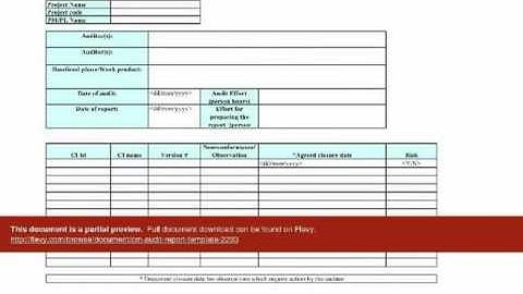 CM Audit Report Template