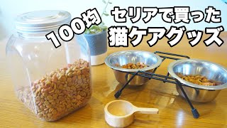 【100均猫ケアグッス】セリアで買った蓋つきポットが猫の餌入れに最適！