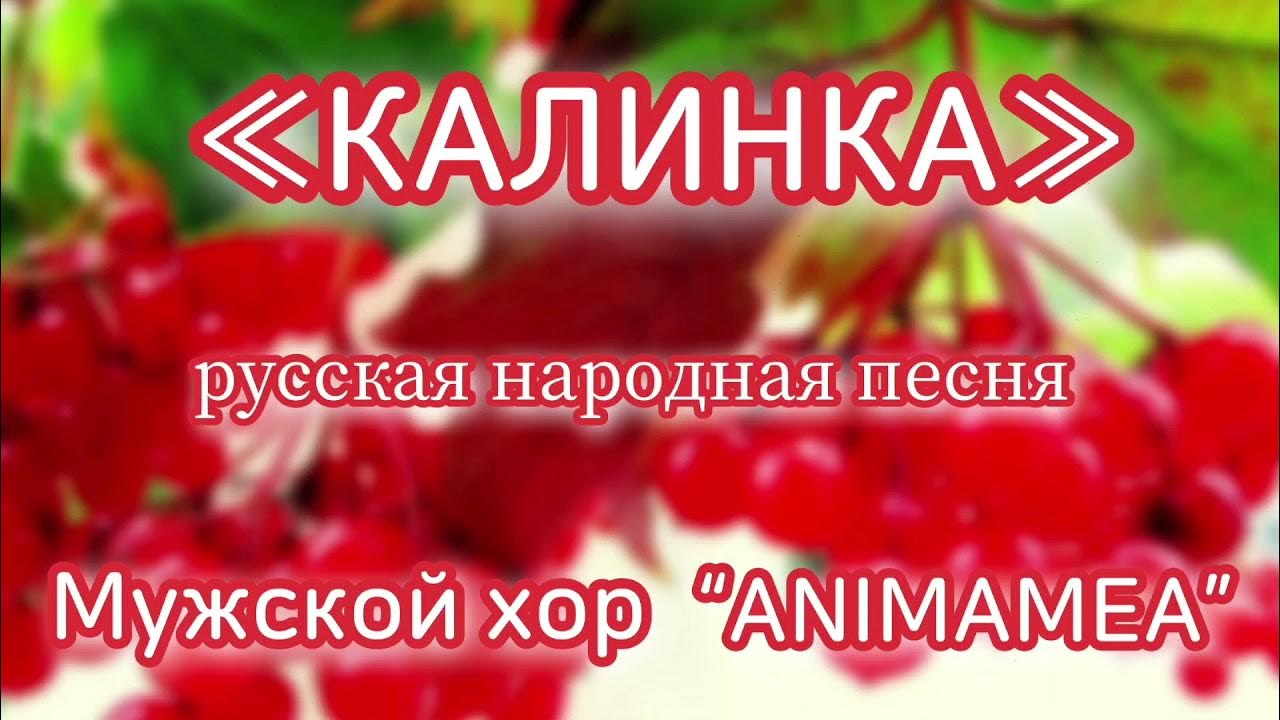 Калинка русское народное текст. Калинка моя. Песня Калинка. Народная песня Калинка Малинка. Калинка Калинка Калинка моя.