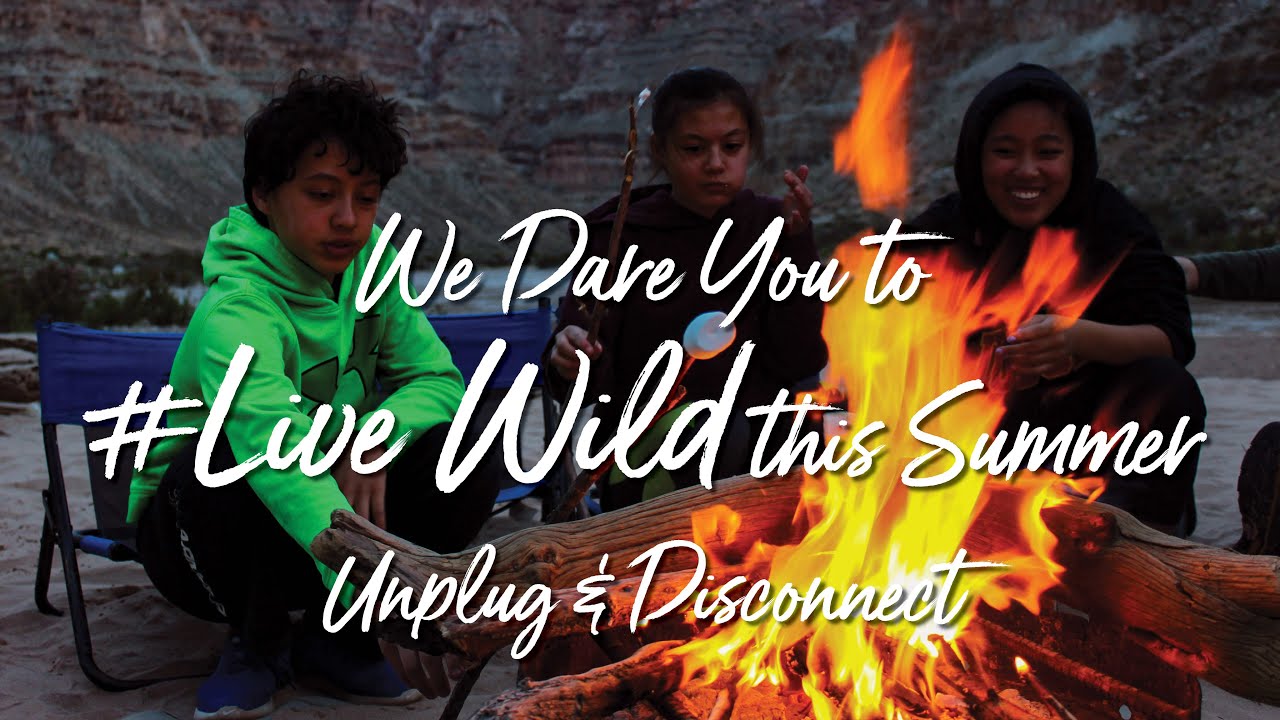 adventure academy Dare to #LiveWild – Unplug & Disconnect From Daily Distractions This Summer