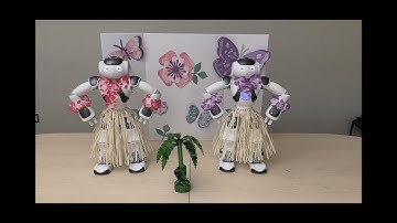 Real Time Robot Control Final - Demo