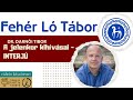Dr. Darnói Tibor - A jelenkor kihívásai és lehetőségei - INTERJÚ -  Fehér Ló Tábor 2025