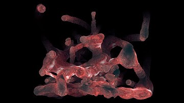 audiovisual performance - Klaus Obermaier (excerpt)